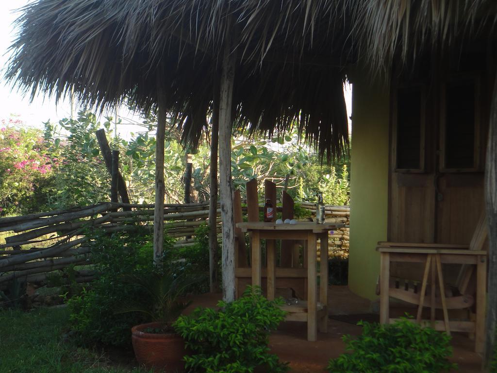 KuDehya Guesthouse Treasure Beach Værelse billede