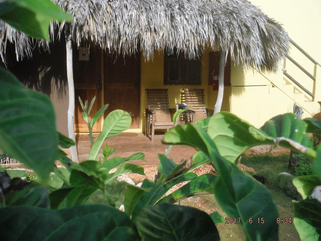 KuDehya Guesthouse Treasure Beach Eksteriør billede